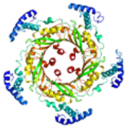 Profile photo of Kasthuri Kannan