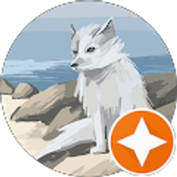 Profile photo of Nick Buche