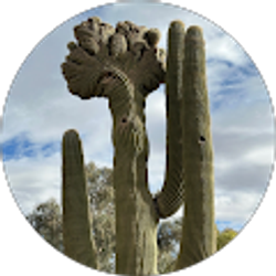 Profile photo of Jane Govro