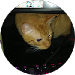 Profile photo of Michael Shoop