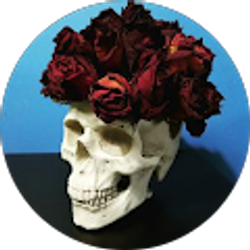 Profile photo of Morgan W