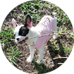 Profile photo of Monica Ebeling