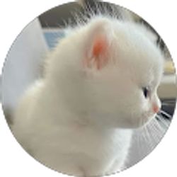 Profile photo of Gab DiMaio