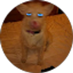 Profile photo of Winn D Snow