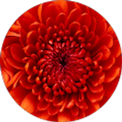 Profile photo of Gereltsetseg Batsaikhan