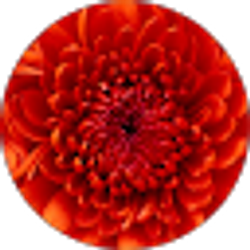 Profile photo of Gereltsetseg Batsaikhan