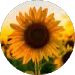 Profile photo of Lindsey Johnson