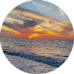 Profile photo of Sayed Hashimi