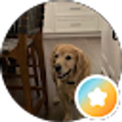 Profile photo of DBC