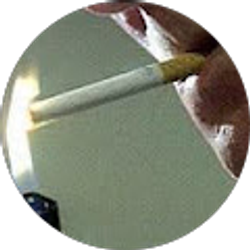 Profile photo of Dale Logan