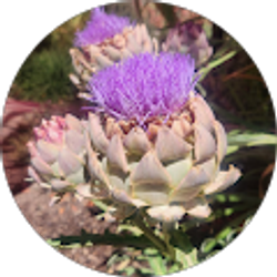 Profile photo of Leticia Bryant