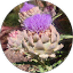 Profile photo of Leticia Bryant