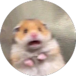 Profile photo of brianna V