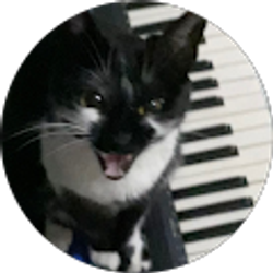 Profile photo of sebastian atehortua