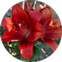 Profile photo of Cindy Rendon