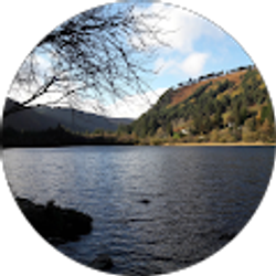 Profile photo of Eli Sockey