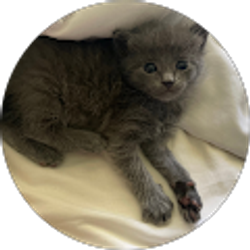 Profile photo of bryan