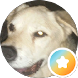 Profile photo of Liz Neal