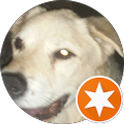 Profile photo of Liz Neal