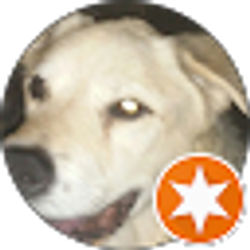 Profile photo of Liz Neal