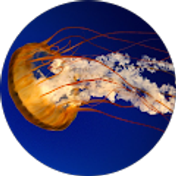 Profile photo of Karina Kasmauskis