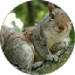 Profile photo of cynthia mclaughlin