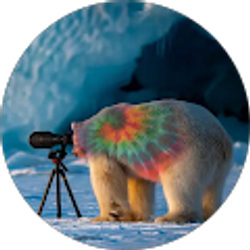 Profile photo of Carlile Designs LLC