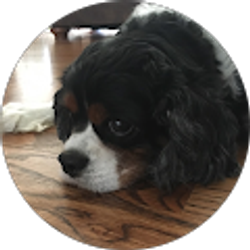 Profile photo of Katie Keairnes