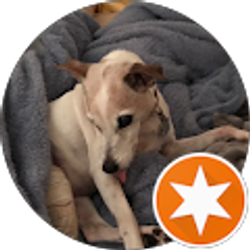 Profile photo of Faye New