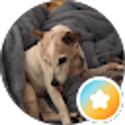 Profile photo of Faye New