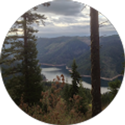 Profile photo of David Douglas