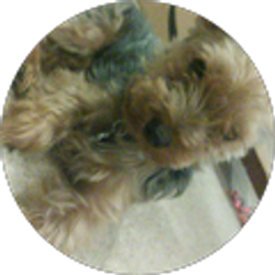 Profile photo of Celia Whipkey