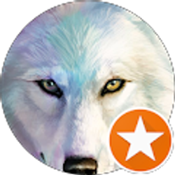 Profile photo of S Phillips