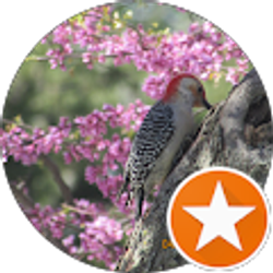 Profile photo of Andrea Manner