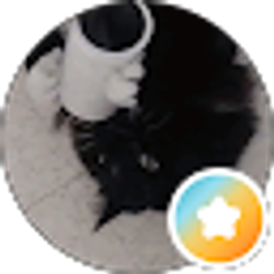 Profile photo of B W