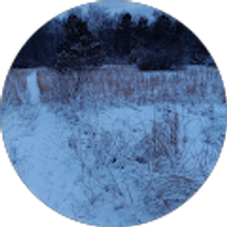 Profile photo of Colloidal