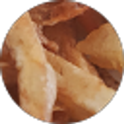 Profile photo of John Roberts