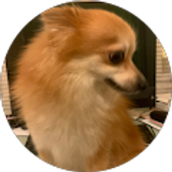 Profile photo of Jose Vasquez