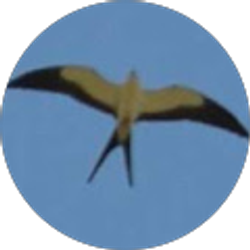 Profile photo of Josiah CG