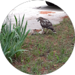 Profile photo of Guillermo Martinez