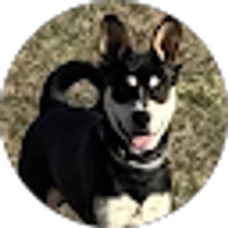 Profile photo of Christine Erickson
