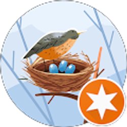 Profile photo of Mamabird