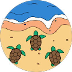 Profile photo of Andrea