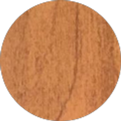 Profile photo of John Tammaro