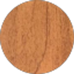 Profile photo of John Tammaro