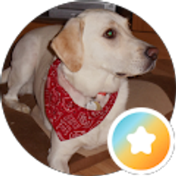 Profile photo of Bigdog6554