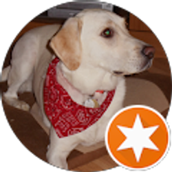 Profile photo of Bigdog6554