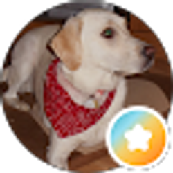 Profile photo of Bigdog6554