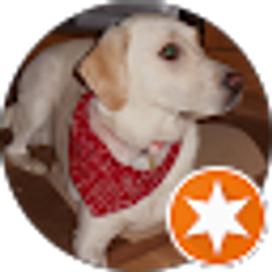 Profile photo of Bigdog6554