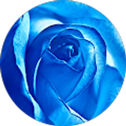 Profile photo of Laura Alvarez